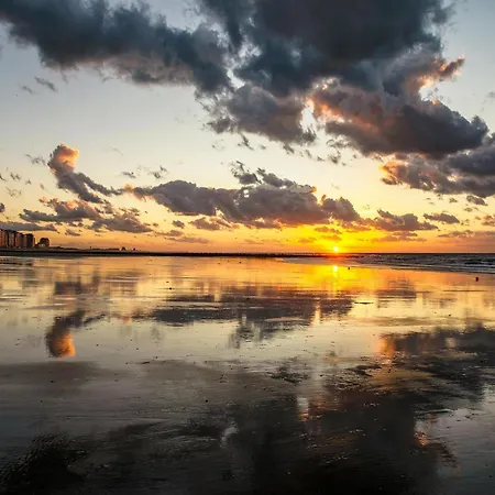 Cozy And Spacious On The 1st Floor 公寓 米德尔克尔克