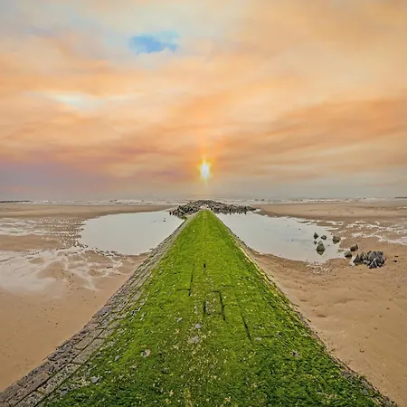 Cozy And Spacious On The 1st Floor 公寓